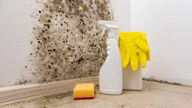Spray bottles, sponge and gloves beside a moldy wall corner