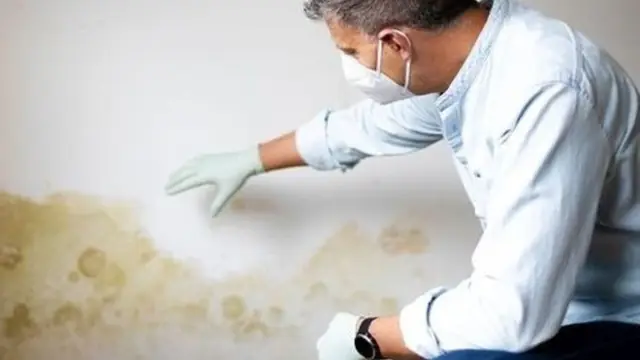 Inspector in a mask examining a water-stained wall